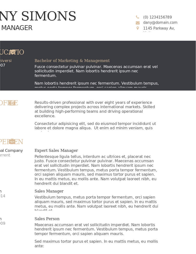 The Modish Applicant CV – Vorschau